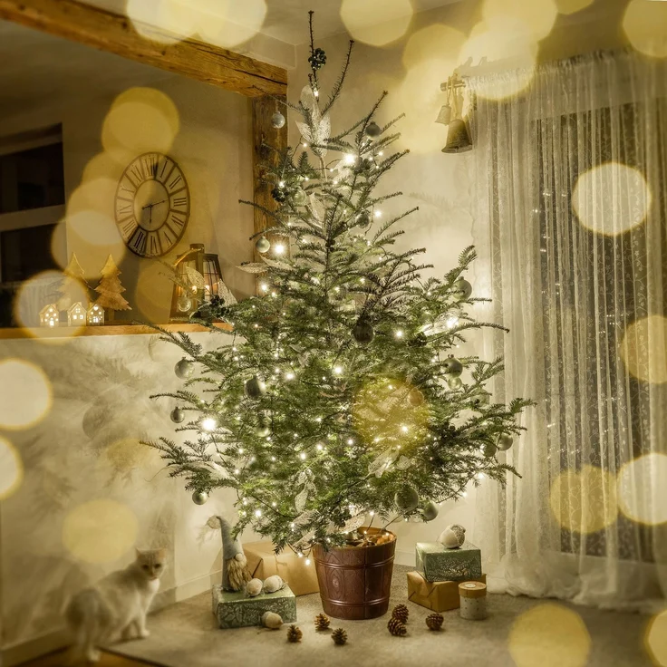 KADAX Großer Weihnachtsbaumständer für einen echten Weihnachtsbaum, Blumentopfbaum, 2,8 m – Bild 4