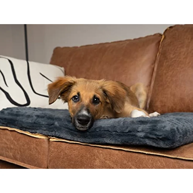 TrendPet Tierdecke Harmony anthrazit, gefütterte Hundedecke, 100% Polyester, in verschiedenen Größen erhältlich – Bild 8