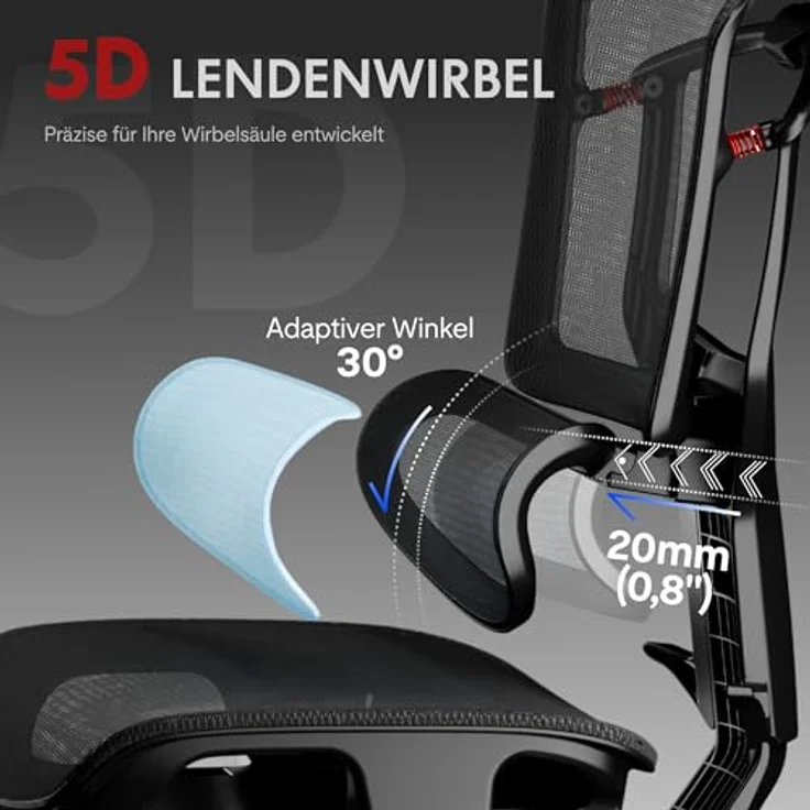 FLEXISPOT ErgoX Pro Ergonomischer Bürostuhl mit 12-stufiger Höhenverstellung, Schreibtischstuhl mit 7D-Armlehnen, 5D-Lendenstütze, 4D-Kopfstütze, 250 kg Belastbarkeit und Netzsitz (Schawrz) – Bild 8