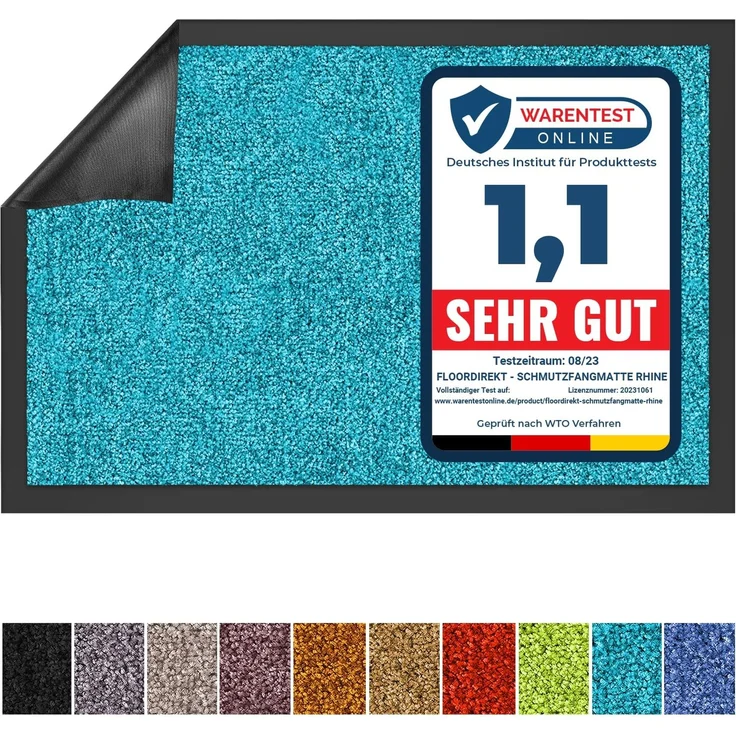 Floordirekt Schmutzfangmatte Rhine - waschbare & leistungsstarke Fußmatte - Sauberlaufmatte mit Rutschfester Rückseite - Türmatte für den Eingangsbereich (Türkis, 90x120 cm)