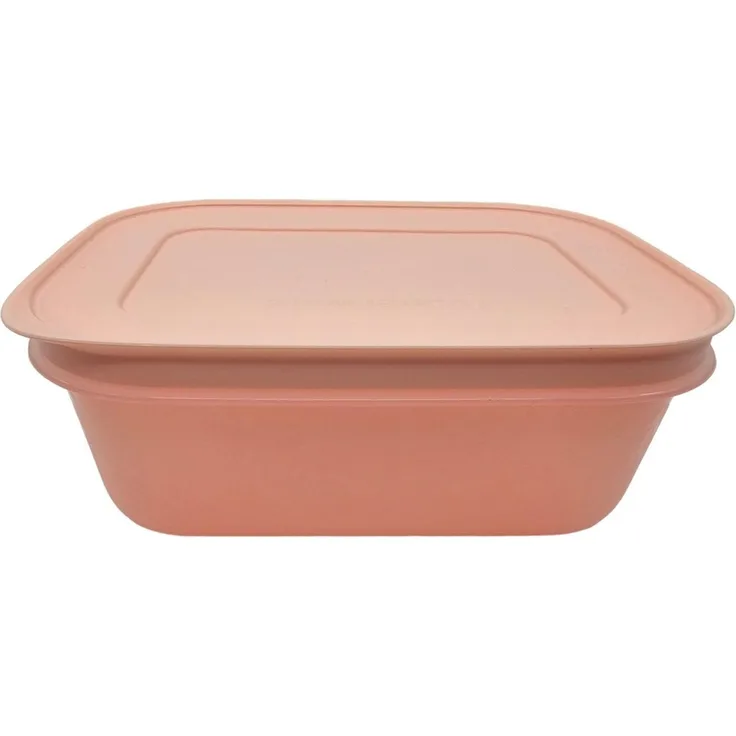 TUPPERWARE Vorratsdose TUPPERWARE Gefrier-Behälter 450 ml lachs flach
