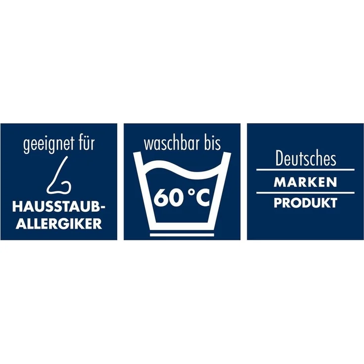 Badenia irisette Luna Daunensteppbett 135x200 Kassettendecke extra warm – Bild 2