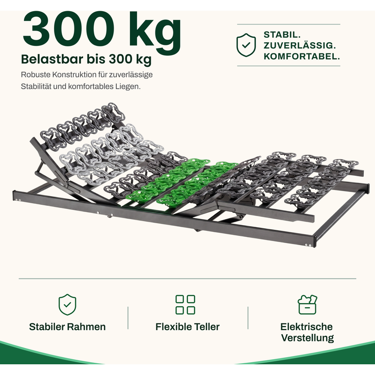 Graf Schlafsysteme LEO PLANE Elektrischer 5-Zonen Tellerlattenrost Tellerrahmen Lattenrost Montiert 100x200 cm – Bild 5