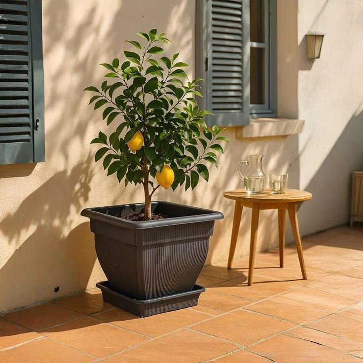 XXL Pflanzkübel Blumentopf 60x60 mit Wasserspeicher und Untersetzer - 70 Liter Pflanztopf gegen Staunässe anthrazit UV-stabil, frostsicher, robust – Bild 2
