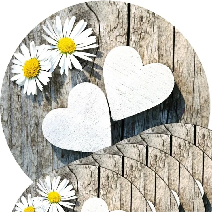 matches21 HOME & HOBBY Platzset Abwaschbare Tischsets 6er Set Gänseblümchen Blumen rund, (6-St), Platzsets als Tisch-Untersetzer und Tisch-Deko für Esstisch Teller