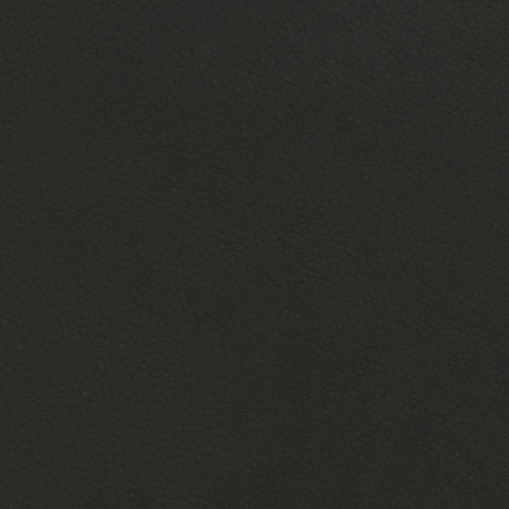 DOMO. collection Sessel Berlin FK, Polstersessel mit Federkernpolsterung, Armsessel, Cocktailsessel, Loungesessel 95 x 90 x 89 cm (BxTxH), schwarz – Bild 7