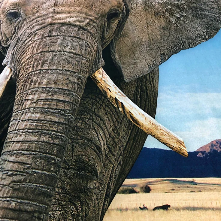Elefant Bettwäsche Digitaldruck ESPiCO Sleep and Dream 135 x 200 + 80 x 80 cm – Bild 6