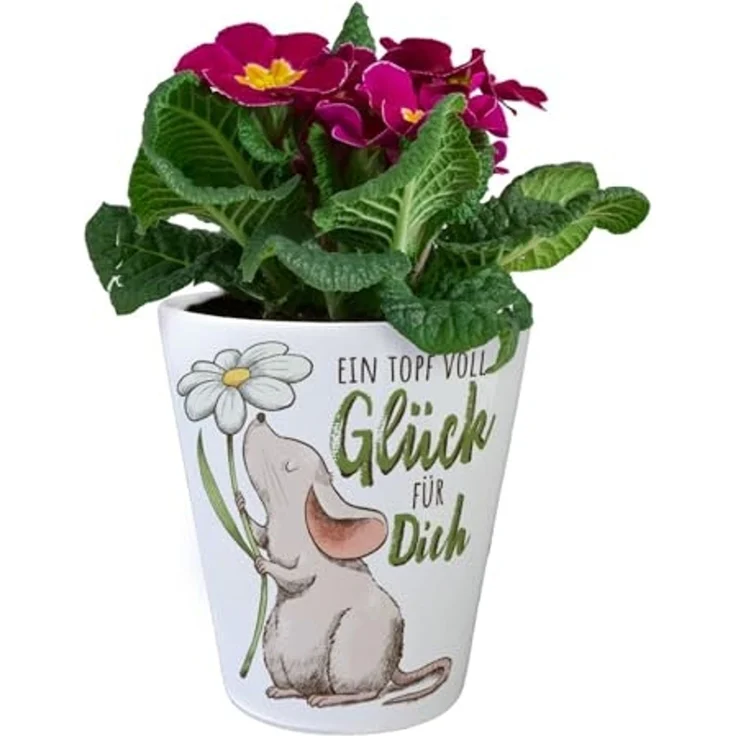 speecheese Blumentopf Maus Blumentopf mit Spruch Ein Topf voll Glück für dich – Bild 2