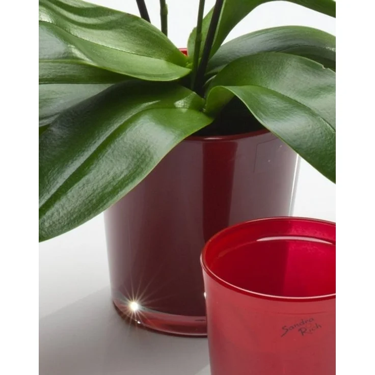 Sandra Rich Blumentopf Orchideentopf Orchid konisch von Sandra Rich – Bild 2
