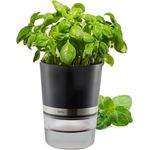 Gefu Botanico Kräutertopf