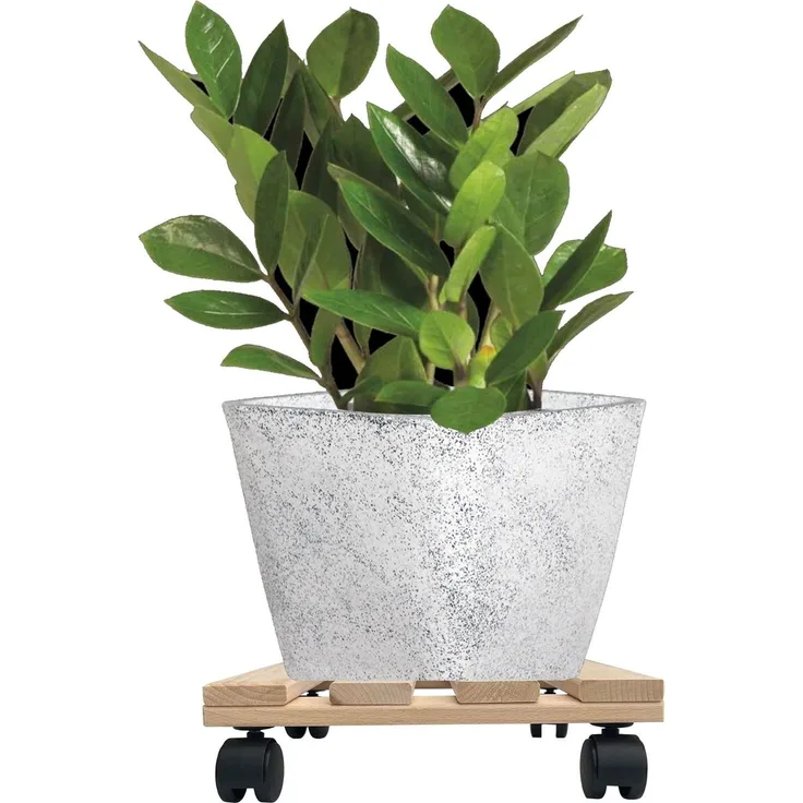 1x Rolluntersetzer eckig Pflanzenroller 30x30 cm - max. 120 kg Traglast - aus Buchenholz - Stabil & robust - Für Pflanztöpfe, Möbel & schwere Gegenstände