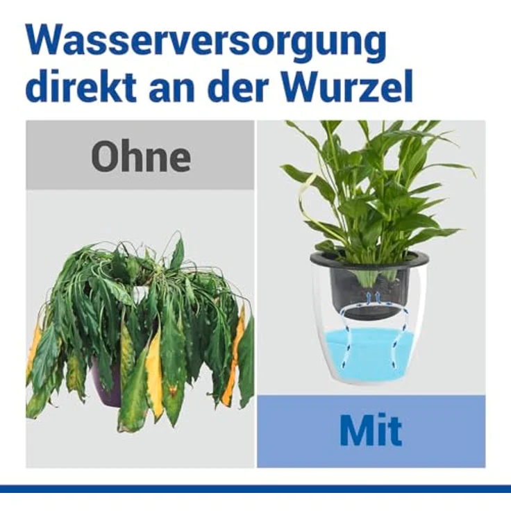 Maximex Selbstbewässernde Pflanztöpfe, 15-teiliges Set, Kräutertöpfe mit Wasserreservoir, automatische Bewässerung für Zimmerpflanzen, Ø 13x13,5 cm, Kunststoff – Bild 4