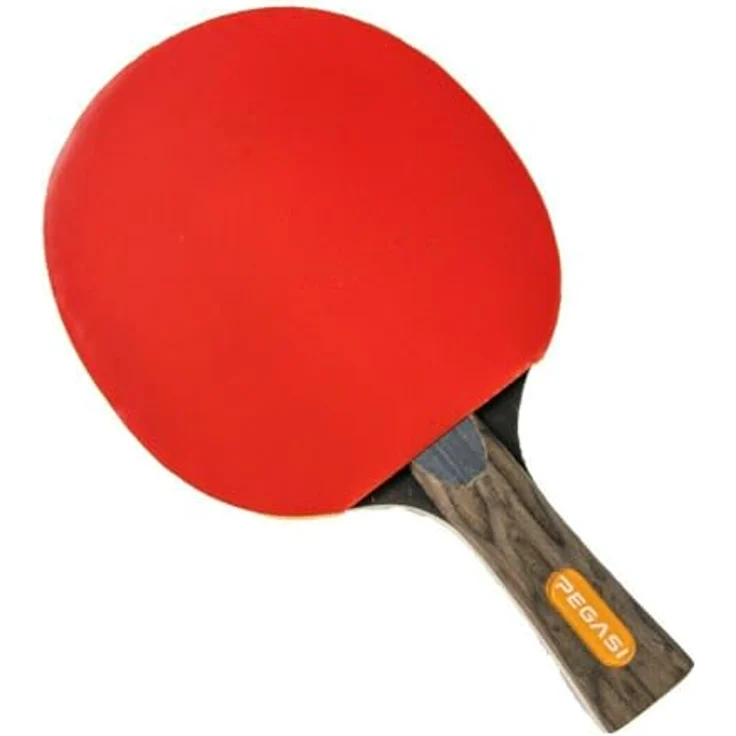 Pegasi Tischtennisschläger 5 Sterne Spezialist – Bild 6
