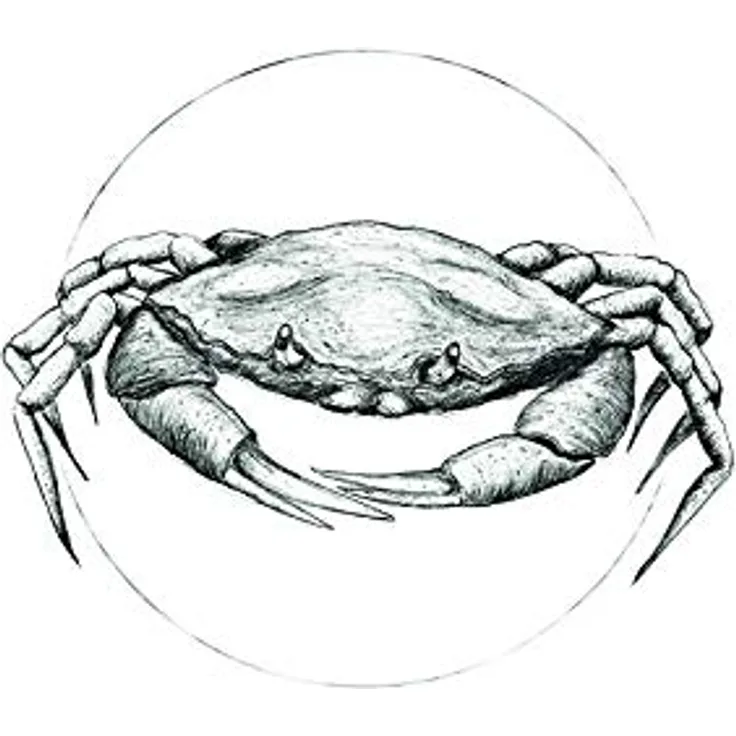 Komar Wandbild Crab White, Poster auf deutschem Premium-Photopapier, 50 x 70 cm, ohne Rahmen, fotorealistischer Kunstdruck für Wohnzimmer und Schlafzimmer