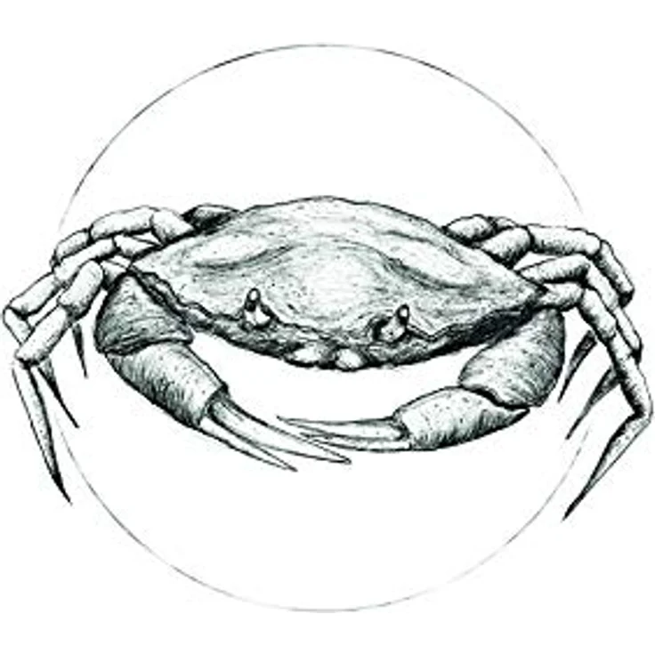 Komar Wandbild Crab White, Poster auf deutschem Premium-Photopapier, 50 x 70 cm, ohne Rahmen, fotorealistischer Kunstdruck für Wohnzimmer und Schlafzimmer – Bild 1