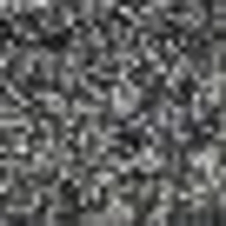 ASTRA Fußmatte Saugstark 601, rechteckig, Höhe: 9 mm, Schmutzfangmatte, In -und Outdoor geeignet – Bild 3