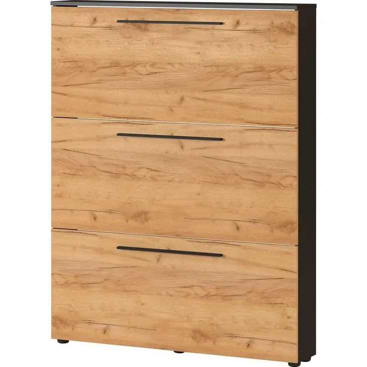 Germania Schuhschrank 3884-549 GW-Wildomar, in Graphit/Navarra-Eiche-Nb, Platz für bis zu 12 Paar Schuhe, geringe Tiefe - ideal für schmale Flure, 100 x 129 x 19 cm (BxHxT)