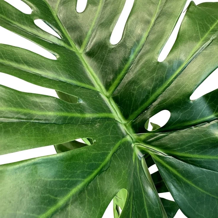 Fensterblatt - Monstera Kunstpflanze, 127 cm – Bild 2