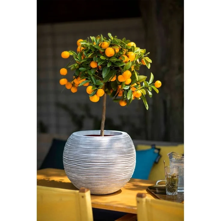 Capi Blumenkübel Nature Rib Kugel 40x32 cm Elfenbein KOFI270 424219 – Bild 6