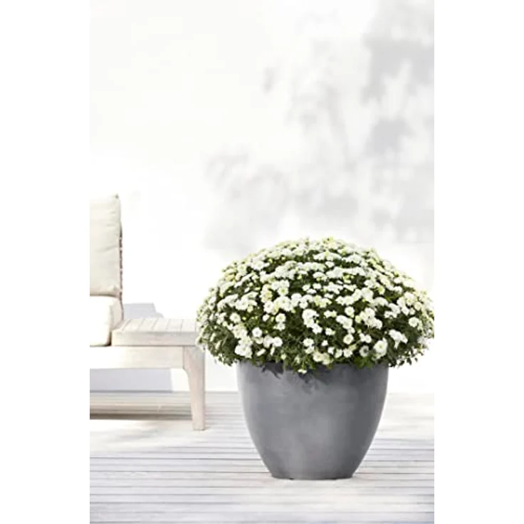 ECOPOTS Blumentopf ANTWERP Grey, BxTxH: 30x30x25,5 cm – Bild 4