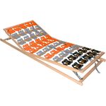 Coemo 7-Zonen Tellerlattenrost CubiFlex 100x200 cm Lattenrost Kopf- und Fußteil verstellbar