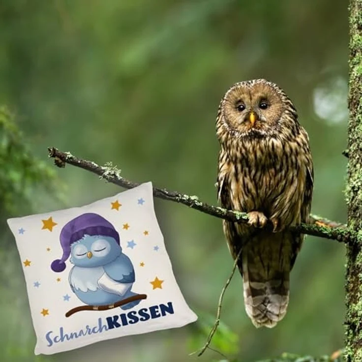 speecheese Dekokissen Schlafende Eule Kissen mit Spruch SchnarchKissen – Bild 5