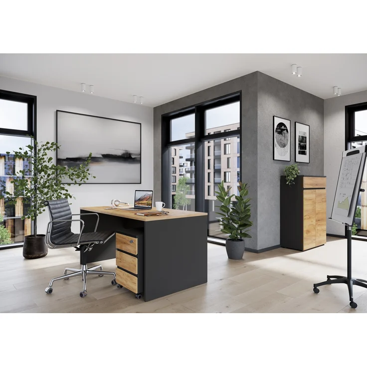 Germania Rollcontainer 4264-549 GW-Lissabon, in Graphit/Eiche, griffloses Design, 41 x 60 x 50 cm (BxHxT) – Bild 9