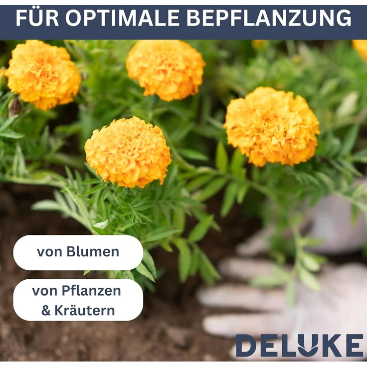 DELUKE® Gabionen Hochbeet ROON aus Stahl 180×50×50cm Steinkorb Gabionengitter Ziergabione Steingabione Drahtkorb befüllbar – Bild 4