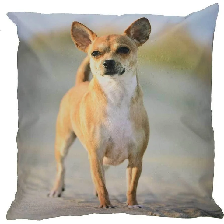 Outdoor Kissen Hundemotiv Gartenkissen Hund Welpe Wasserabweisend 40 x 40 cm