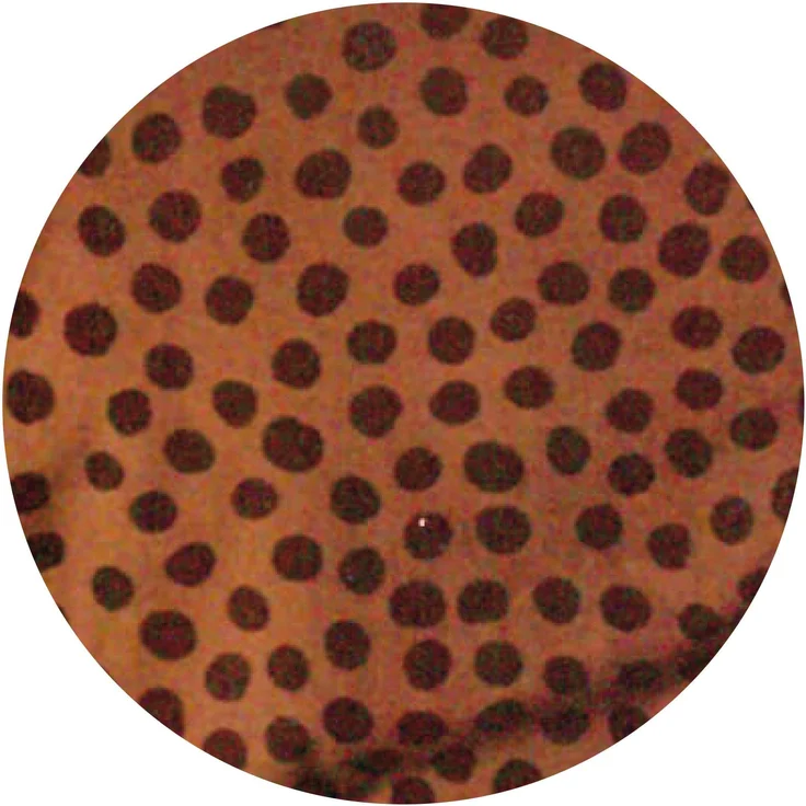 Bettwäsche Walra (135x200cm) Spots & Dots ( Warm Braun ) – Bild 7
