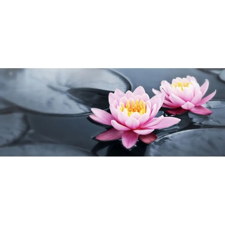 Glasbild - Seerose 95x33cm Wandbild Bild Dekobild Glasbild 11219