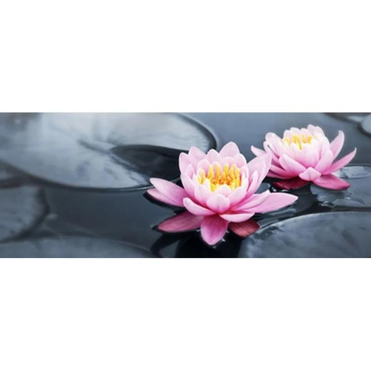 Glasbild - Seerose 95x33cm Wandbild Bild Dekobild Glasbild 11219