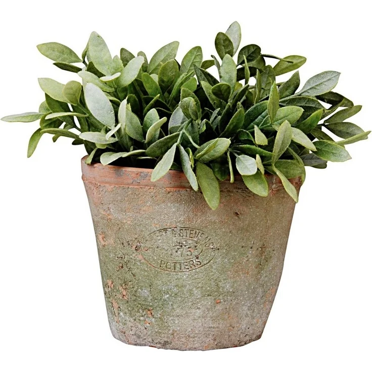 Terracotta Blumentopf im Landhausstil 12 cm Hoch – Bild 3