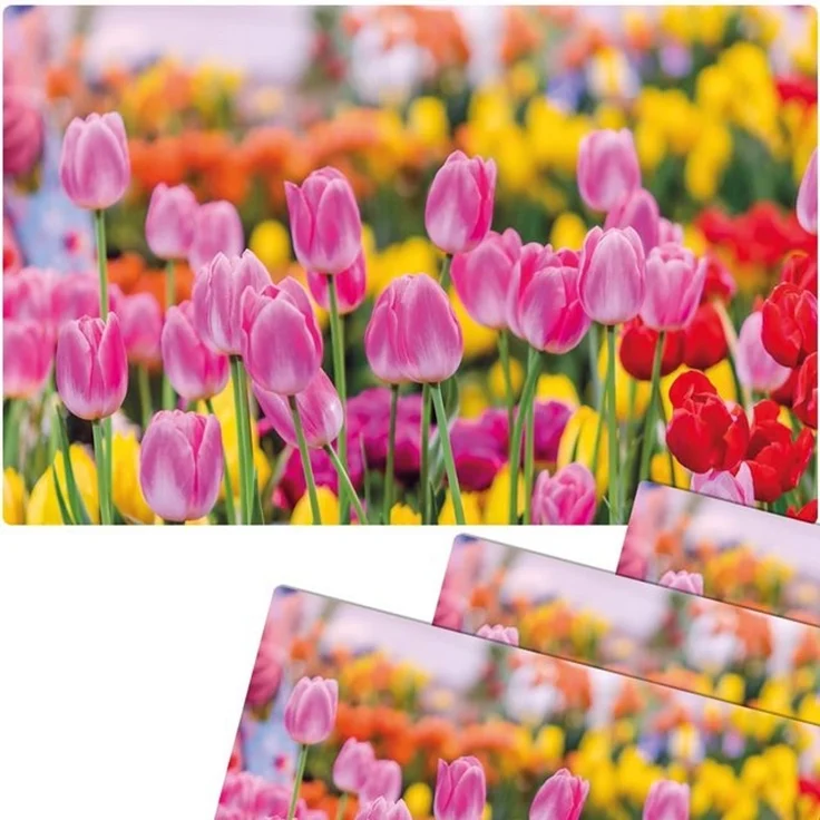 matches21 HOME & HOBBY Platzset Abwaschbare Tischsets 4er Set Sommer Tulpen Blumen pink, (4-St), Platzsets als Tisch-Untersetzer und Tisch-Deko für Esstisch Teller – Bild 2