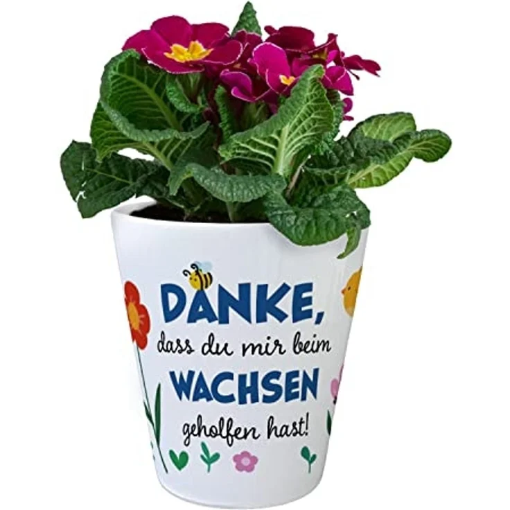 speecheese Blumentopf Danke dass du mir beim Wachsen geholfen hast Blumentopf aus Keramik – Bild 2