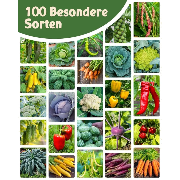 ZenGreens® - Bio Kräuter- & Gemüsesamen im 100er Set - 100 Kräuter- & Gemüse Samen für den einfachen Anbau im Garten, Balkon oder Hochbeet - Pflanzensamen - Saatgut – Bild 10