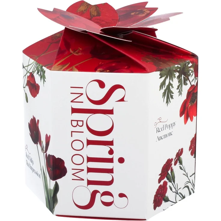 DUO Spring in bloom Becher 400 ml RED FLOWERS in dekorativer Box, New Bone China Porzellan – Bild 5