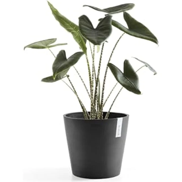 ECOPOTS Blumentopf Amsterdam, ØxH: 30x26,3 cm – Bild 6