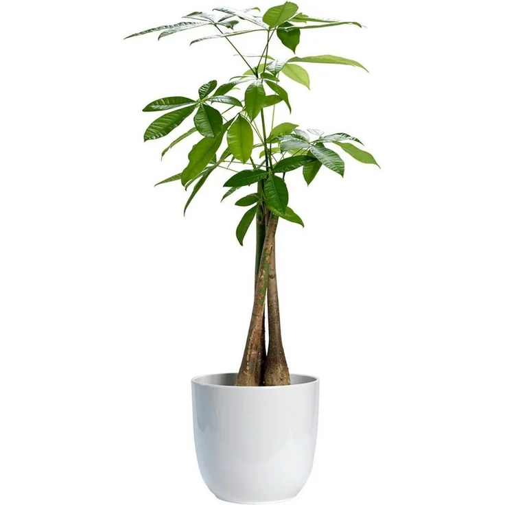 Annastore Übertopf Blumenübertopf - Keramik Übertopf - Blumentopf - Pflanztopf, In verschiedenen Größen und Farben – Bild 4