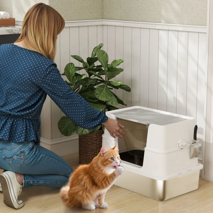 Katzentoilette, Edelstahl, XL-Innenraum, mit Schaufel, Hellgrau--Hellgrau--60.2x40.2x44.5cm--YOUDENOVA – Bild 2