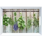 ZELLER PRESENT Melamintablett Kräuter 50x35 cm