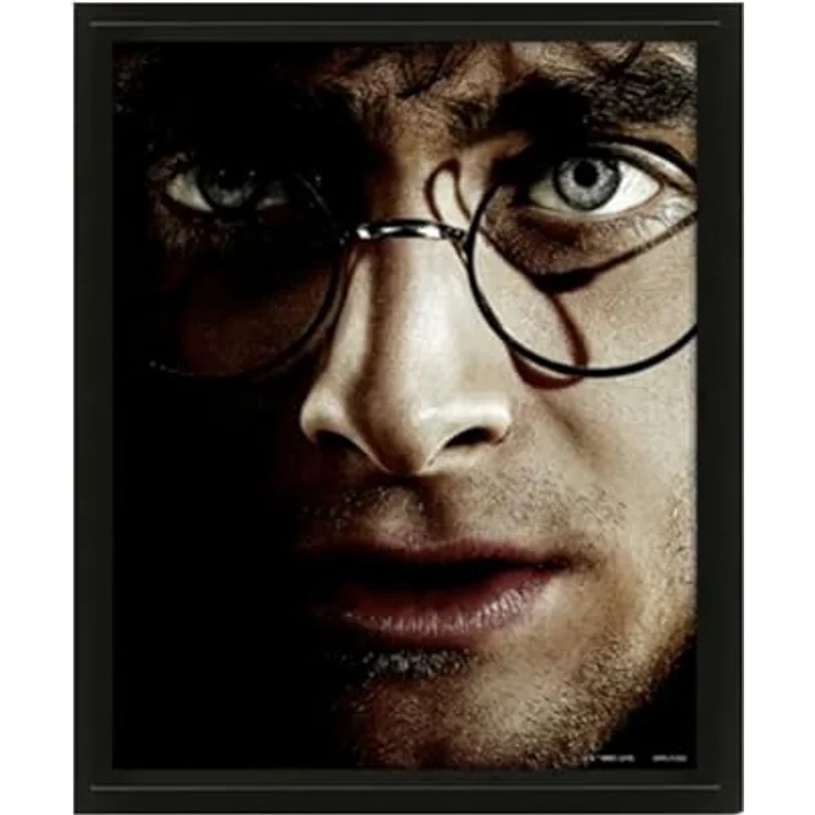 Pyramid International Harry Potter 3D Lenticular Poster (Harry vs Voldemort), 25cm x 20cm x 1.3cm im Rahmen, offizielles Lizenzprodukt – Bild 2