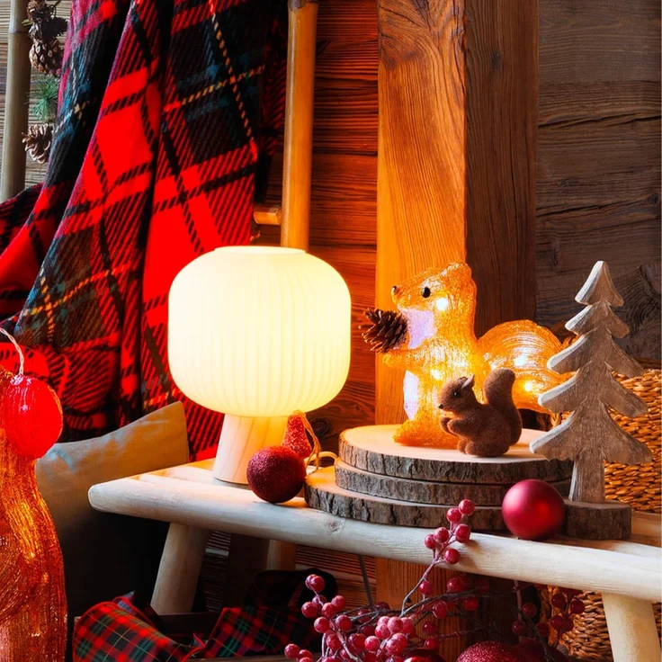 Fééric Lichter und Weihnachtsdekoration Lichterschmuck für draußen Eichhörnchen aus Acryl 20 LEDs – Bild 3