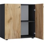 VCM Büroschrank Lona 919443 Anthrazit / Honig-Eiche B. 70 x H. 74 x T. 40 cm