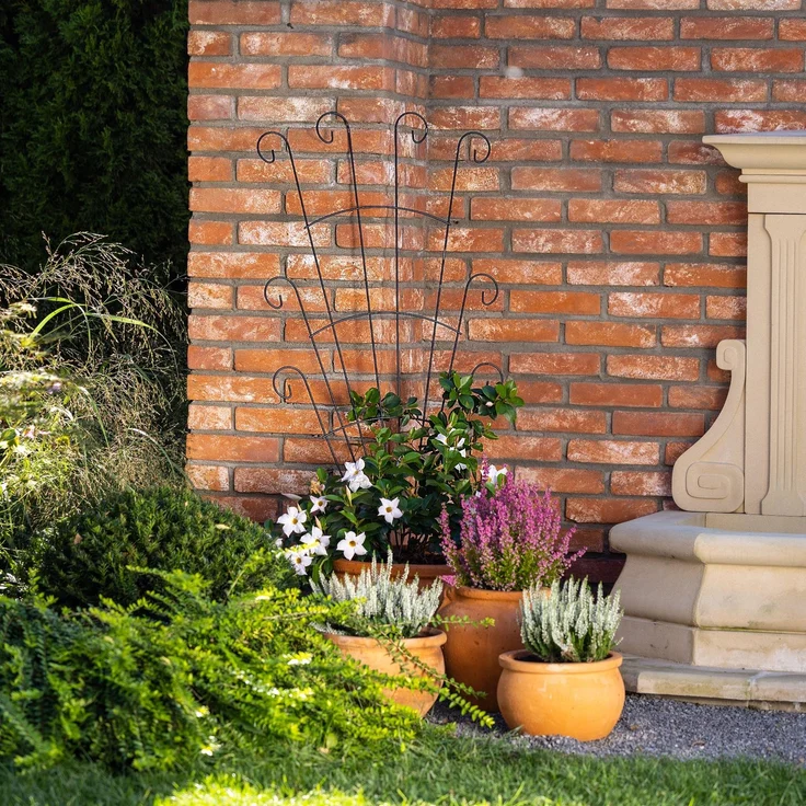 KADAX Metall Rankgitter 62 x 120 cm, 1 Stück, Rankhilfe für Kletterpflanzen wie Rosen & Clematis, Pflanzen Spalier für Garten, Balkon & Terrasse, Pflanzengitter aus Stahl – Bild 2