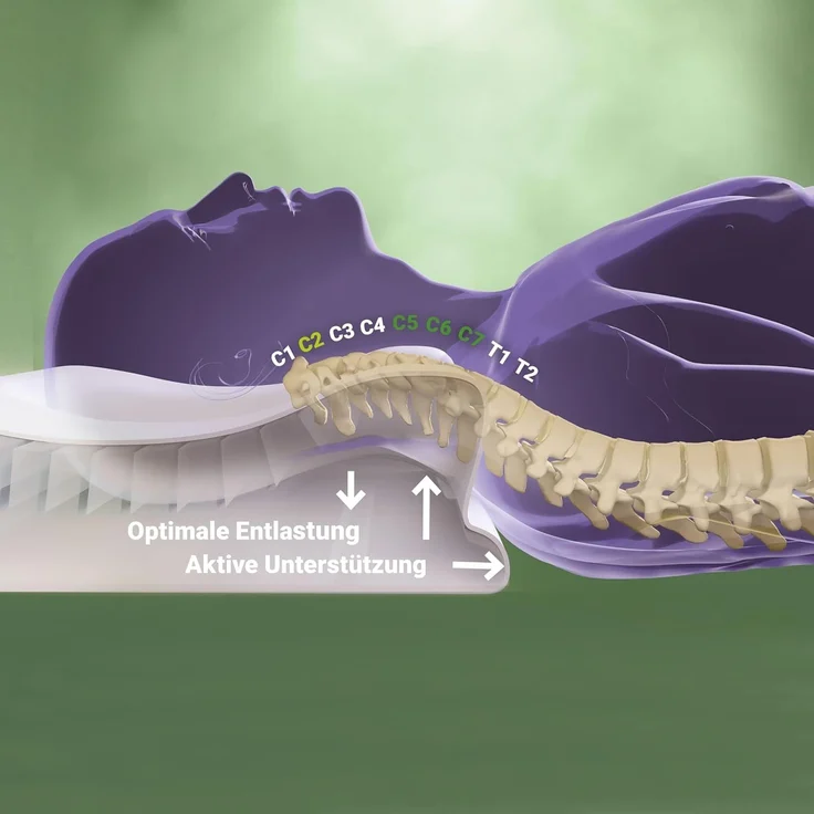 Nackenstützkissen CENTA-STAR NECKPROTECT BL 40x60 cm weiß – Bild 3