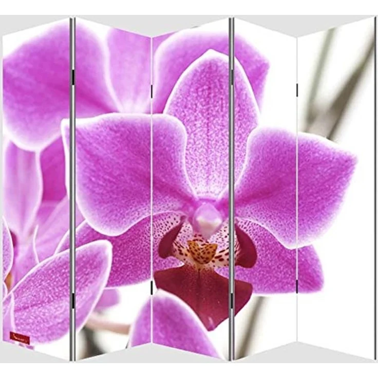 Foto-Paravent Paravent Raumteiler Trennwand M68 ~ 180x200cm, Orchidee – Bild 3