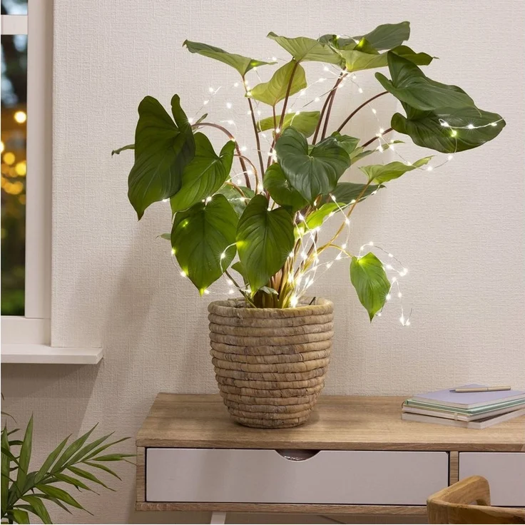 MARELIDA LED-Lichterkette LED Draht Lichtbündel Pflanzenbeleuchtung Blumenstrauß 8 Stränge 100cm, 160-flammig – Bild 2