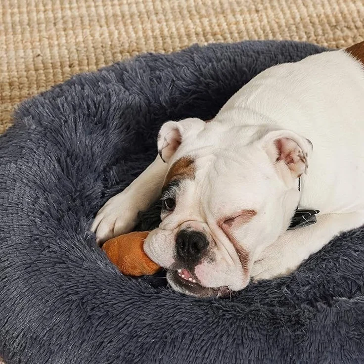 Feandrea Hundebett flauschig, Katzenbett, Donut Kissen, waschbar, Polsterung in der Mitte herausnehmbar, langer Plüsch, 80 cm Durchmesser, dunkelgrau – Bild 3