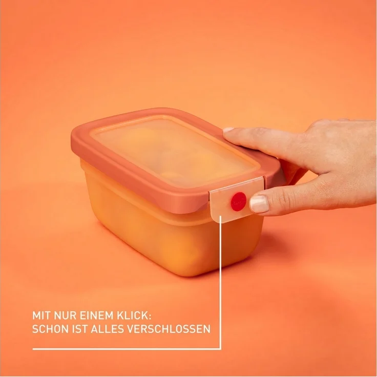 Emsa Frischhaltedose oneClick, Polyprophylen (PP), (1-tlg), verschlossen mit nur 1 x Klick, 100% dicht, made in Germany – Bild 1